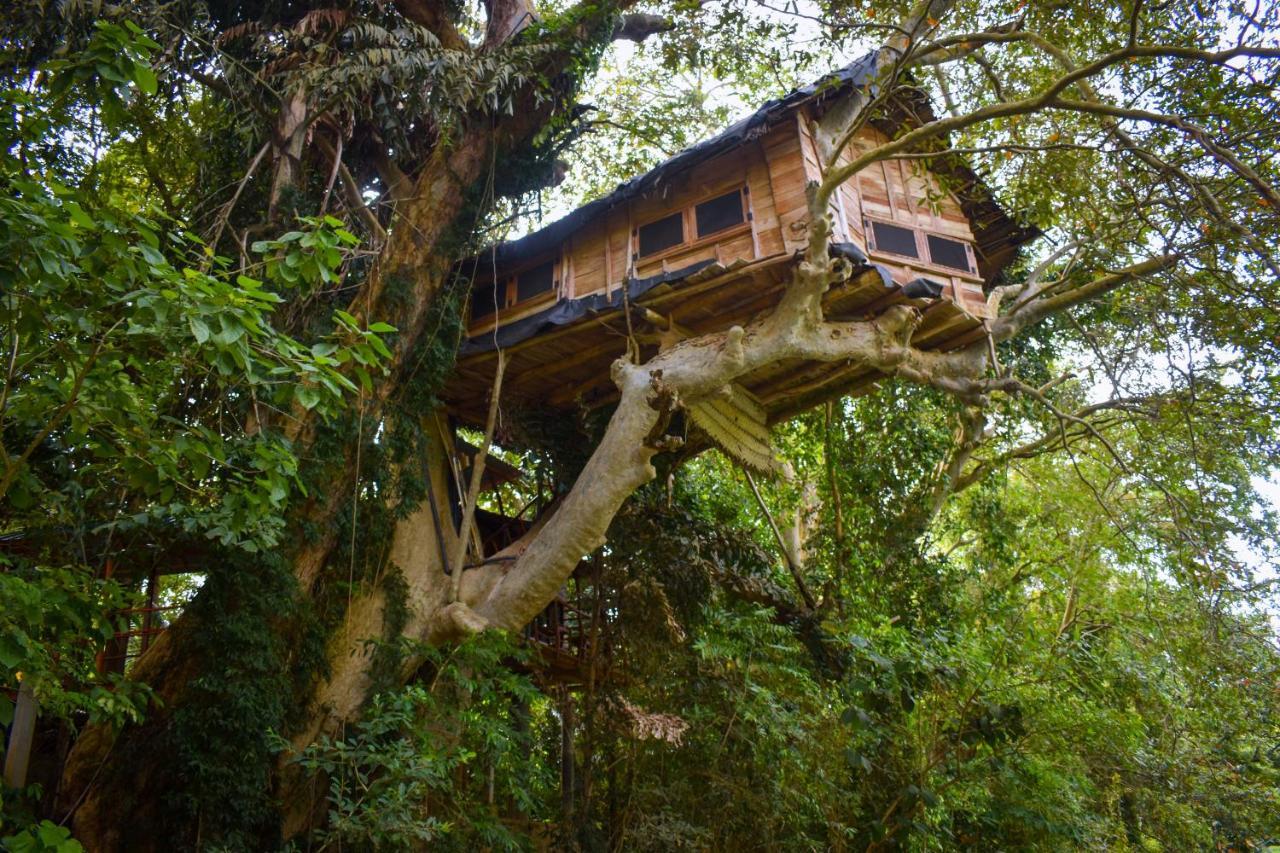 Kumbuk Tree House Villa Tissamaharama Eksteriør billede