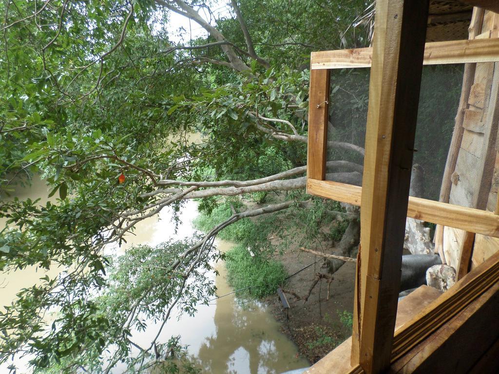 Kumbuk Tree House Villa Tissamaharama Eksteriør billede