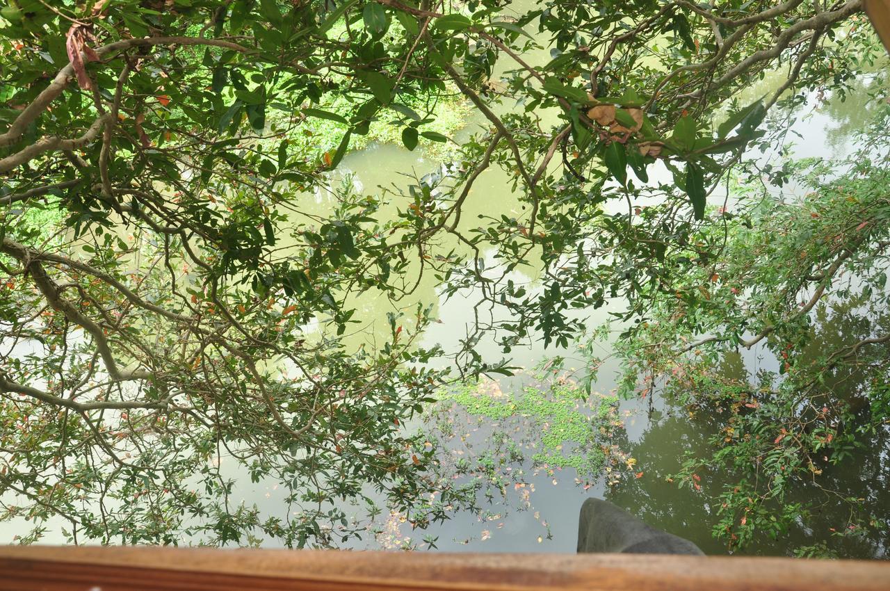 Kumbuk Tree House Villa Tissamaharama Eksteriør billede