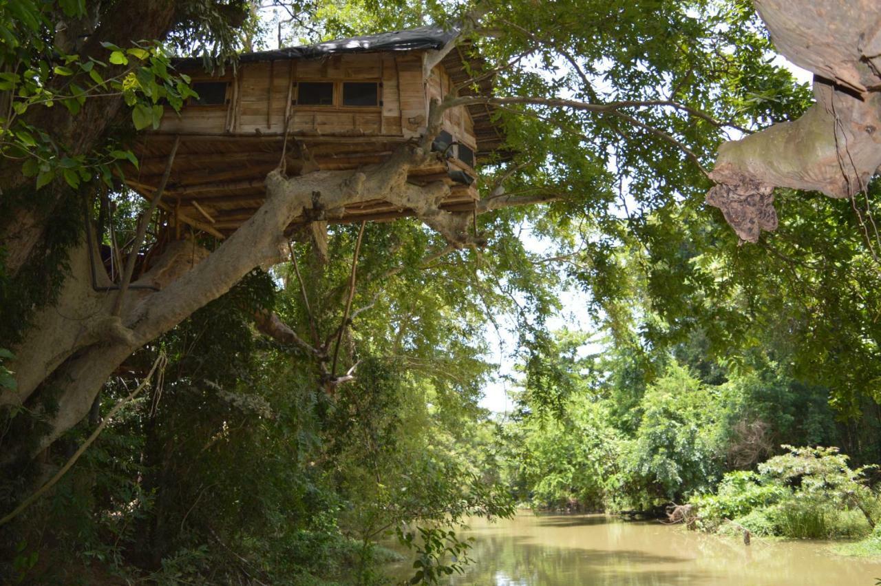 Kumbuk Tree House Villa Tissamaharama Eksteriør billede